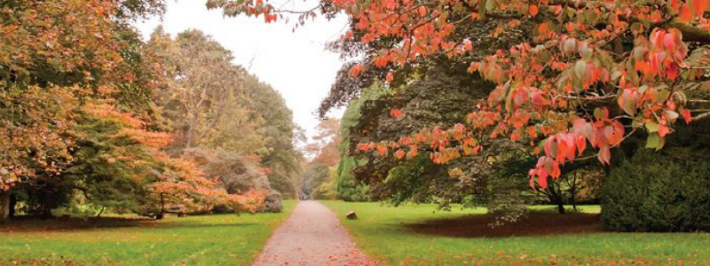 5 of the best autumn walks in Bristol & Bath - with a FREE downloadable walk