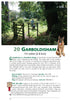 Norfolk Dog Friendly Pub Walks