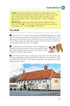 Norfolk Dog Friendly Pub Walks
