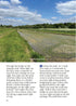 Waterside Walks in Hampshire 20 circular routes sample walk