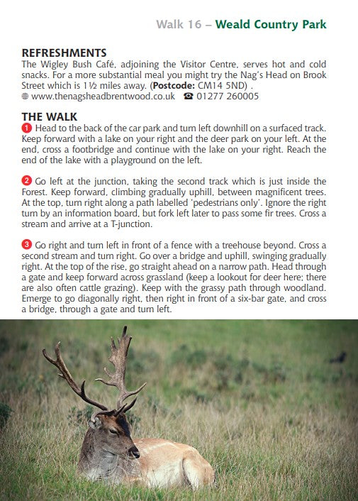 20 Circular Walks in Essex sample page