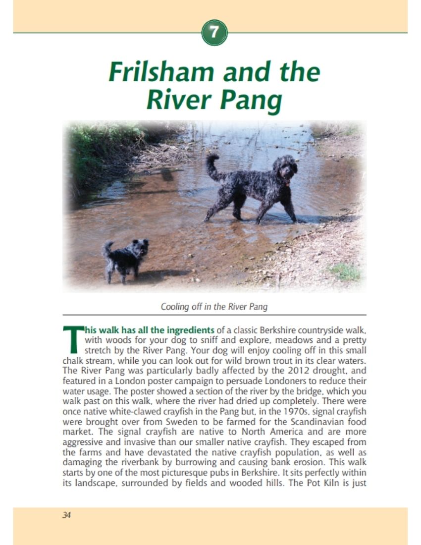 Berkshire A Dog Walker's Guide book interior content