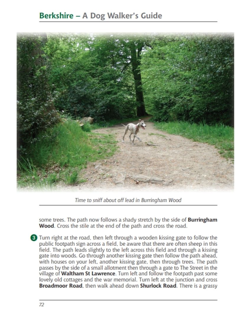 Berkshire A Dog Walker's Guide book interior content