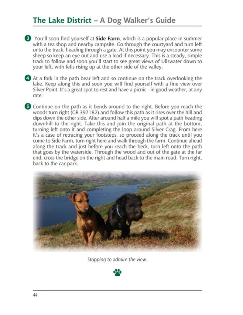 Lake District A Dog Walker's Guide walk