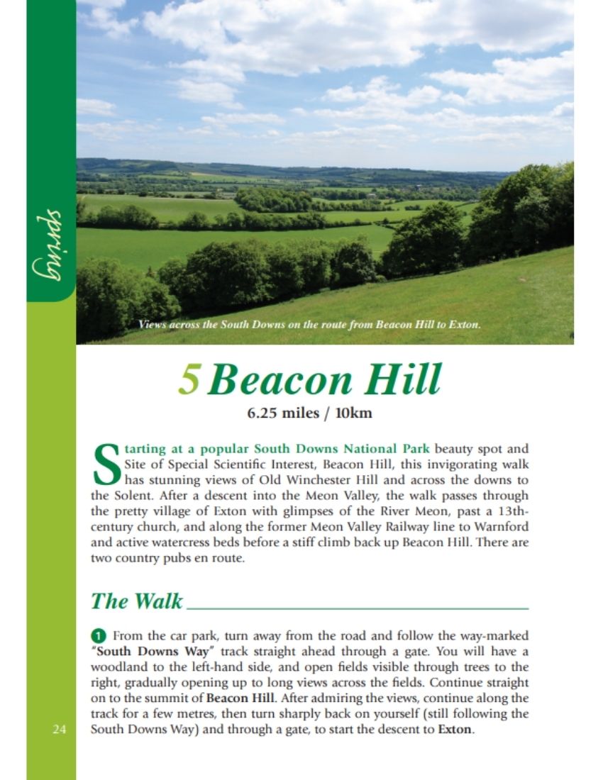 Hampshire & the New Forest Year Round Walks interior content