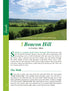 Hampshire & the New Forest Year Round Walks interior content