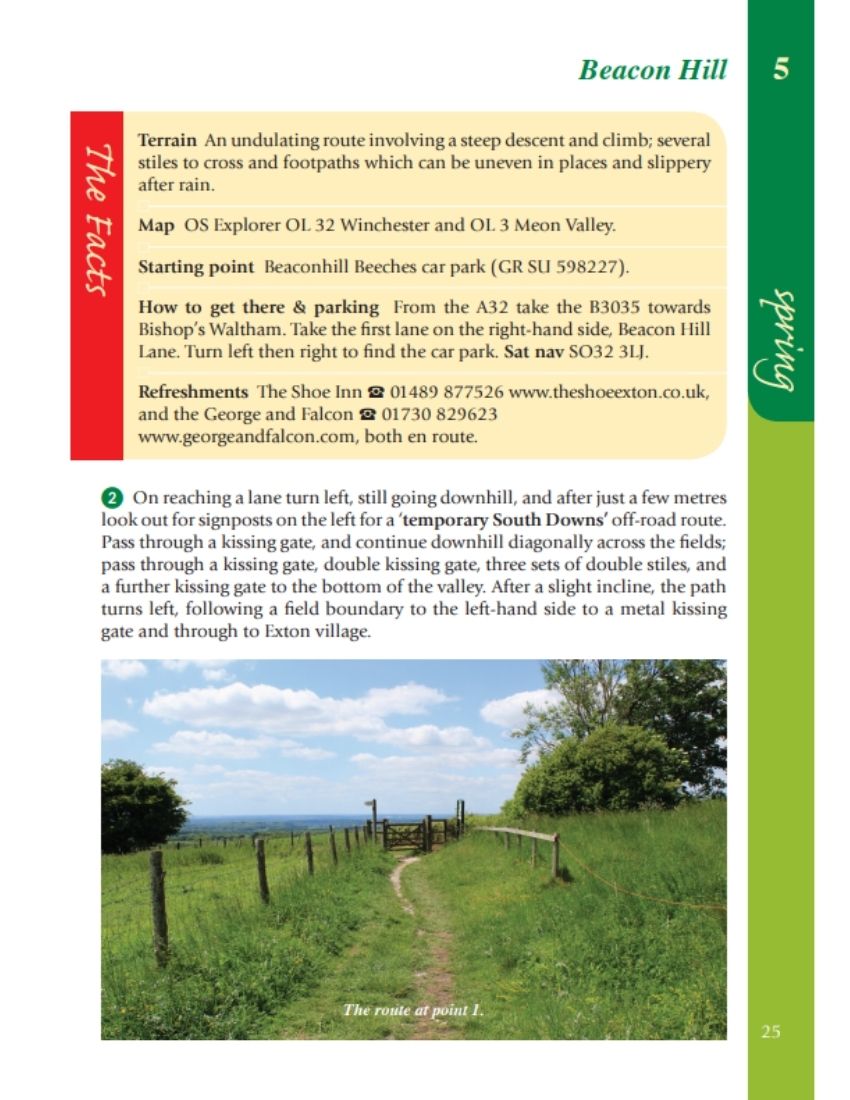 Hampshire & the New Forest Year Round Walks interior content