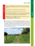 Hampshire & the New Forest Year Round Walks interior content