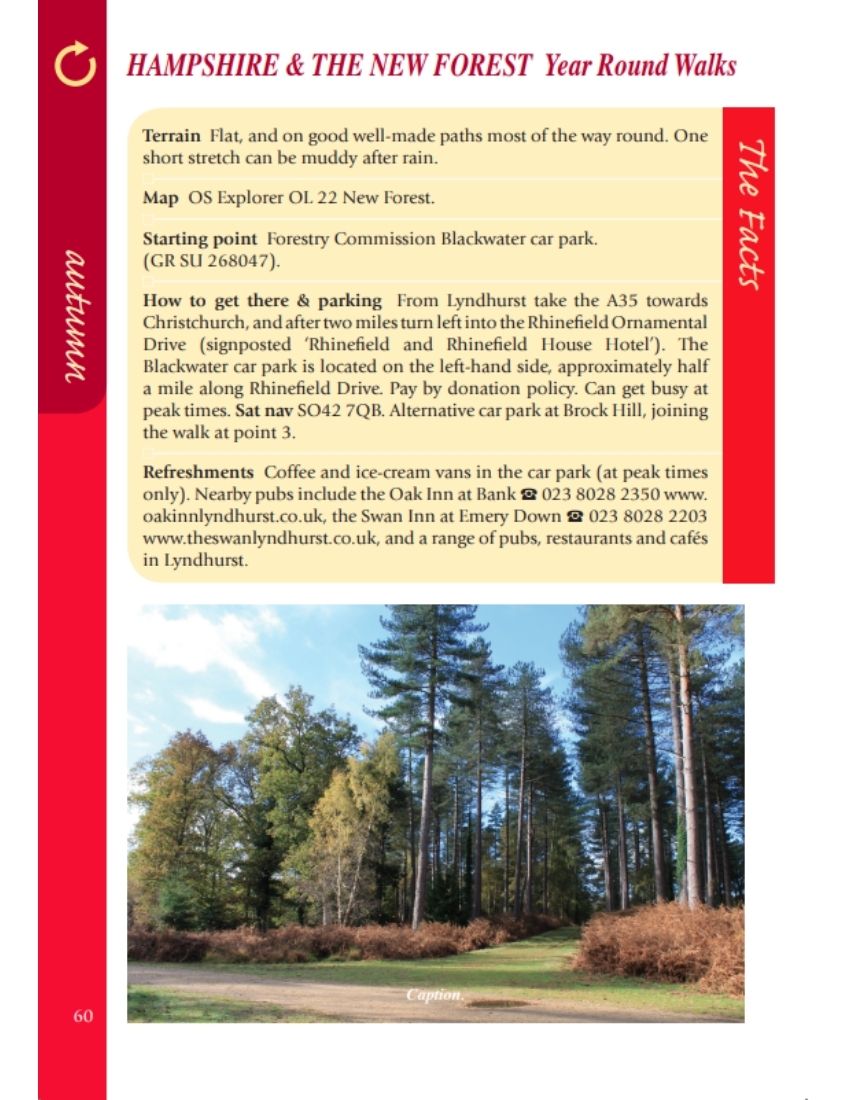 Hampshire & the New Forest Year Round Walks autumn walk