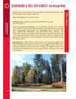 Hampshire & the New Forest Year Round Walks autumn walk