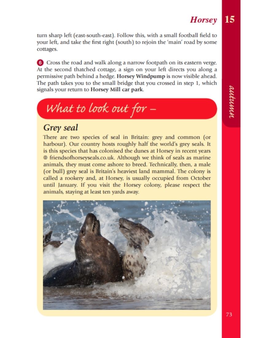 Norfolk Year Round Walks Horsey autumn walk grey seal