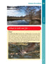 Norfolk Year Round Walks Santon Downham winter walk otter on Little Ouse River