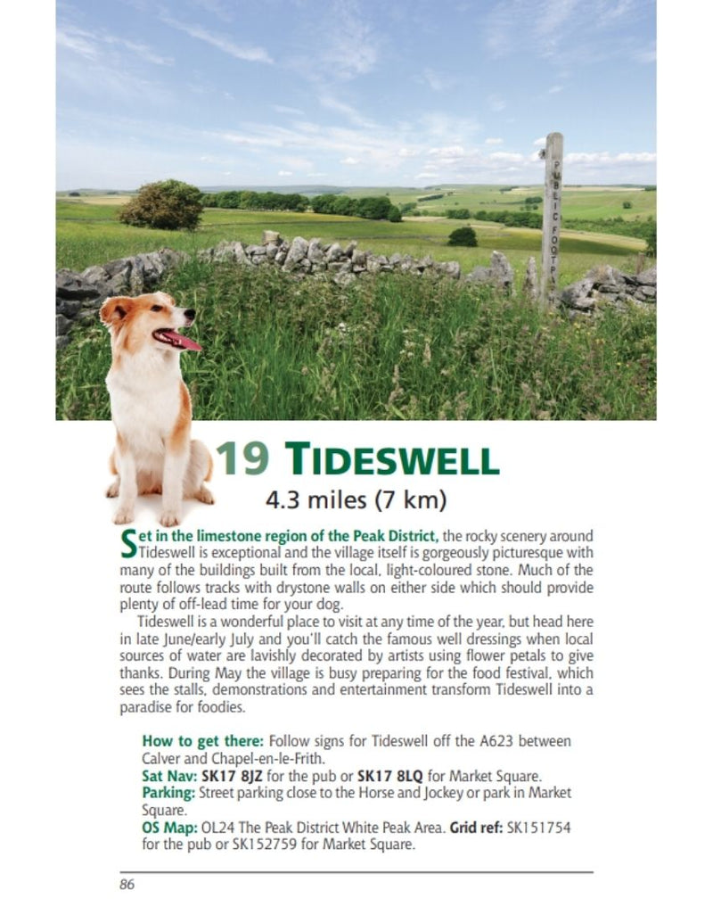 Derbyshire & the Peak District Dog Friendly Pub Walks Tideswell walk