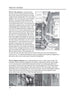 Period Homes - Styles & Original Features