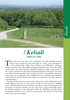 Cheshire Year Round Walks Kelsall spring circular walk