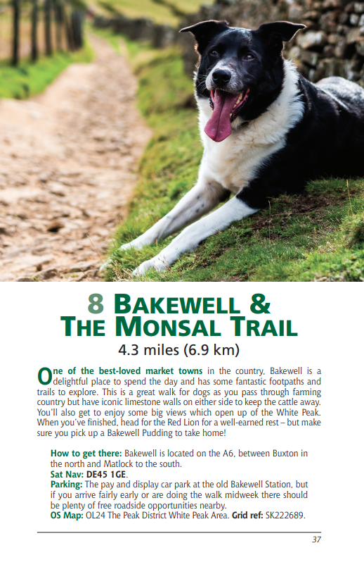 Derbyshire & the Peak District Dog Friendly Pub Walks Bakewell & Monsal Trail walk