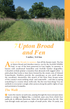 Norfolk Year Round Walks Upton Broad and Fen walk