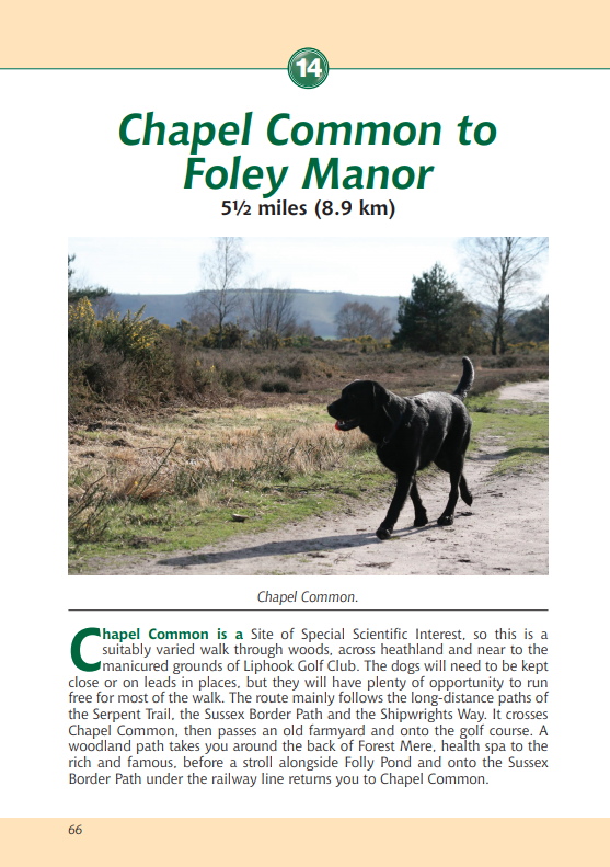 South Downs A Dog Walker's Guide Chapel Common to Foley Manor walk