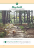 South Downs A Dog Walker's Guide Heyshott Common walk