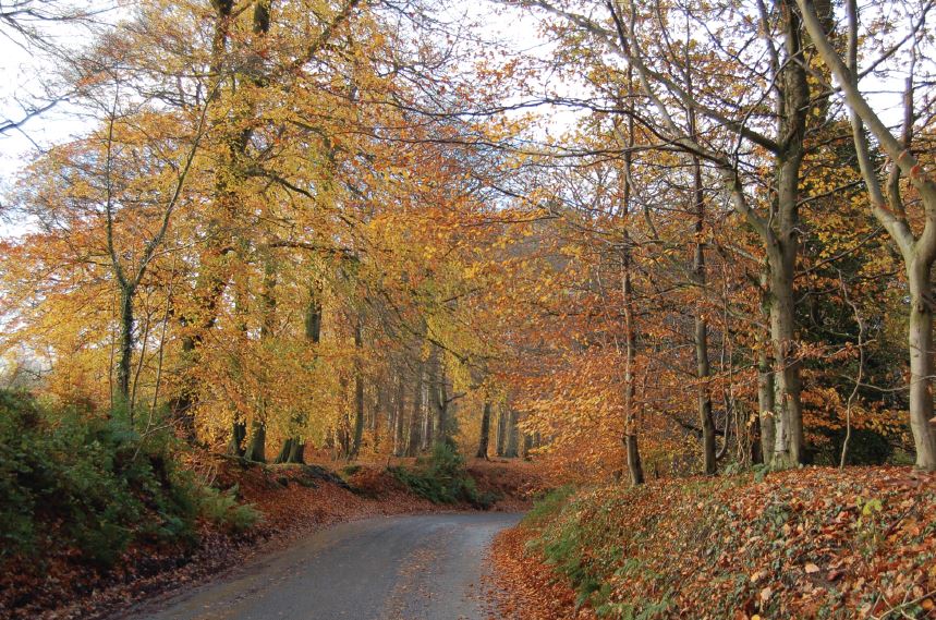 5 of the best autumn walks in Cheshire - with a FREE downloadable walk