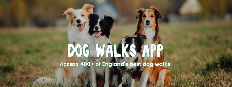 NEW! Dog Walks App by Countryside Books