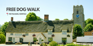 FREE Norfolk Dog Walk: The Pulhams (3 miles)