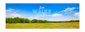 Download a Free Walk Every Day in June