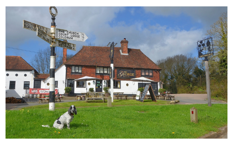 A-Z of dog friendly pubs in Kent