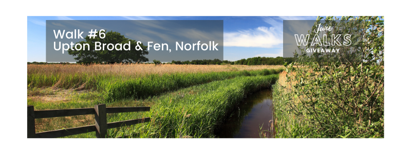 June Walks Giveaway: Upton Broad & Fen, Norfolk