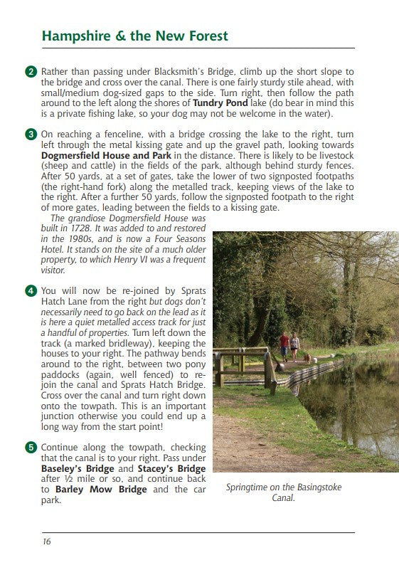 Hampshire & the New Forest A Dog Walker's Guide Basingstoke Canal walk
