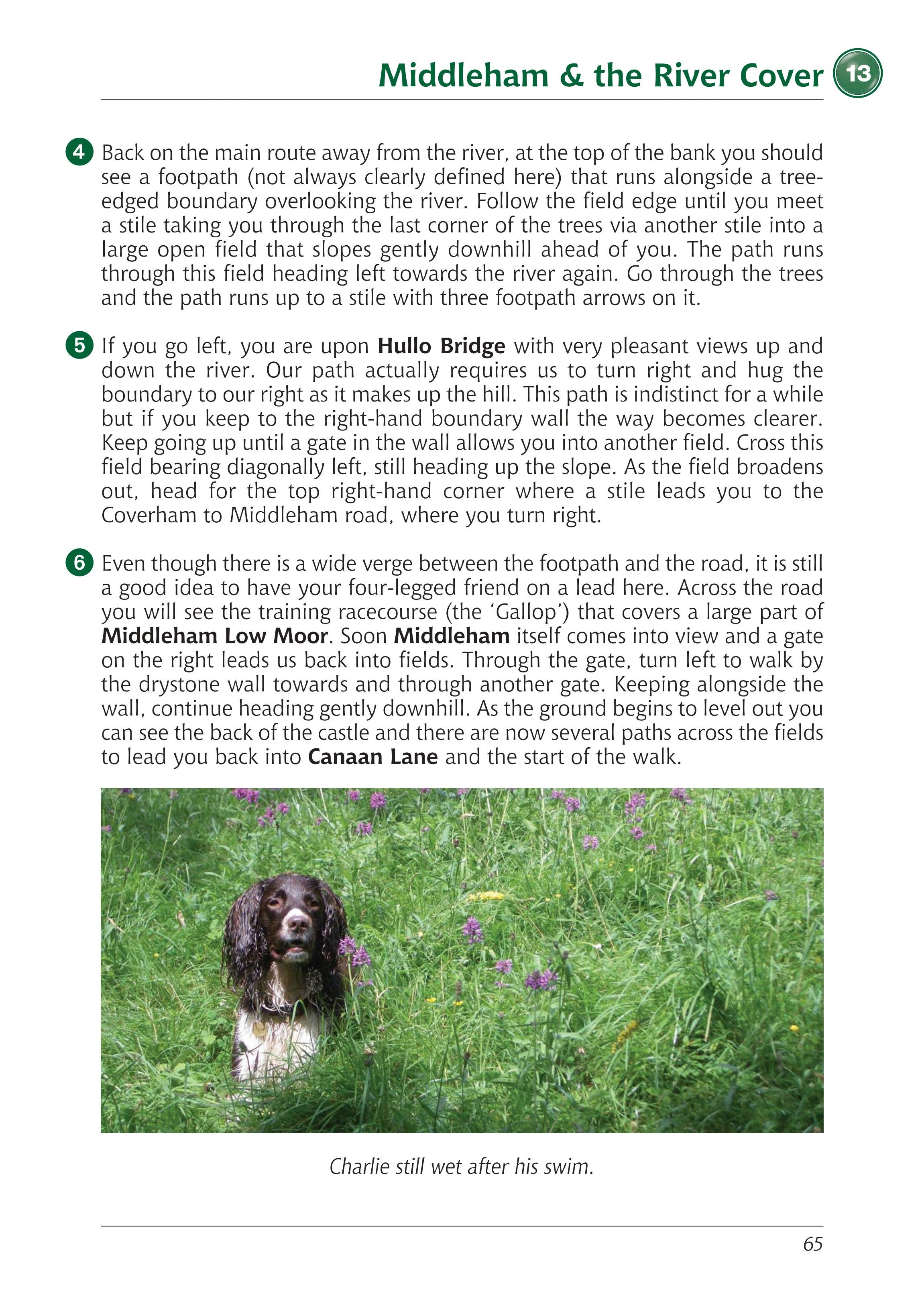 Yorkshire Dales A Dog Walker's Guide sample walk. 20 circular dog walks.