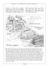 Technical diagram of Roman and Medieval Arched Bridges with labeled parts and text.