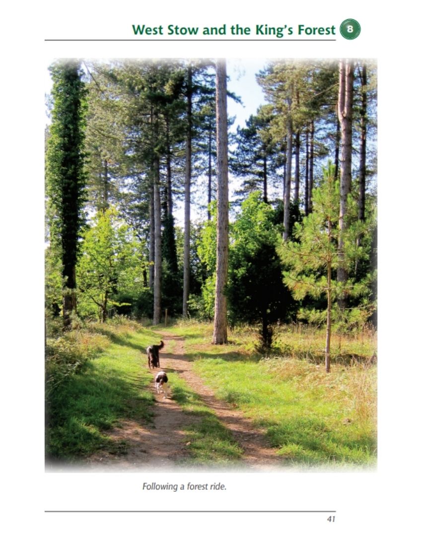 Suffolk A Dog Walker's Guide book interior content