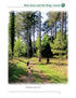 Suffolk A Dog Walker's Guide book interior content