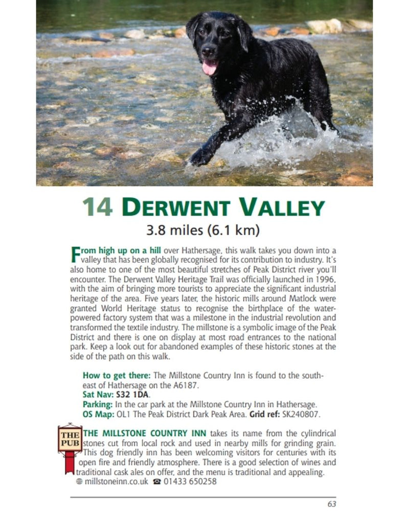 Derbyshire & the Peak District Dog Friendly Pub Walks Derwent Valley walk