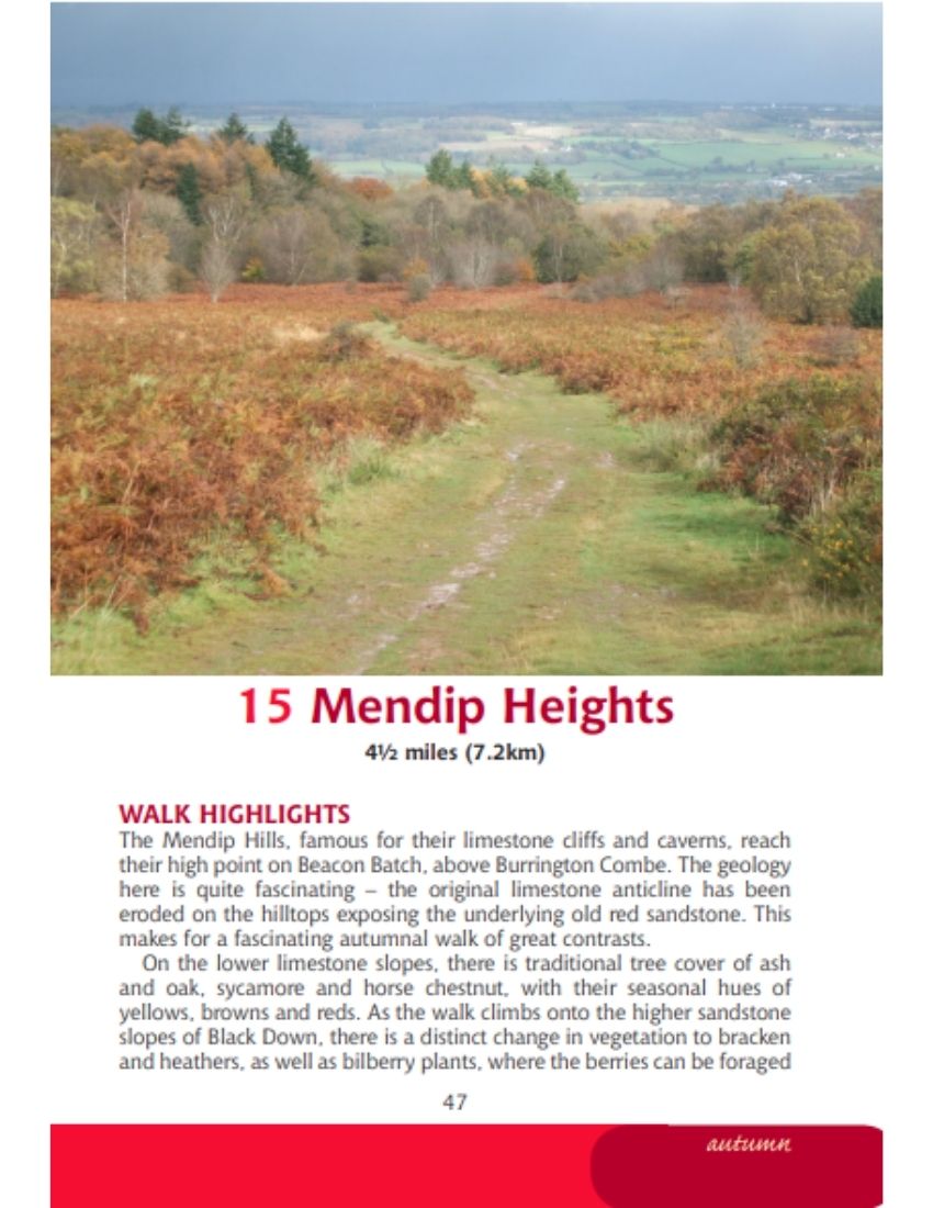 Bristol & Bath Year Round Walks Mendip Hills Autumn walk