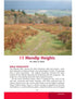 Bristol & Bath Year Round Walks Mendip Hills Autumn walk