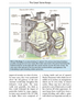 How To Attack A Castle And How To Defend It