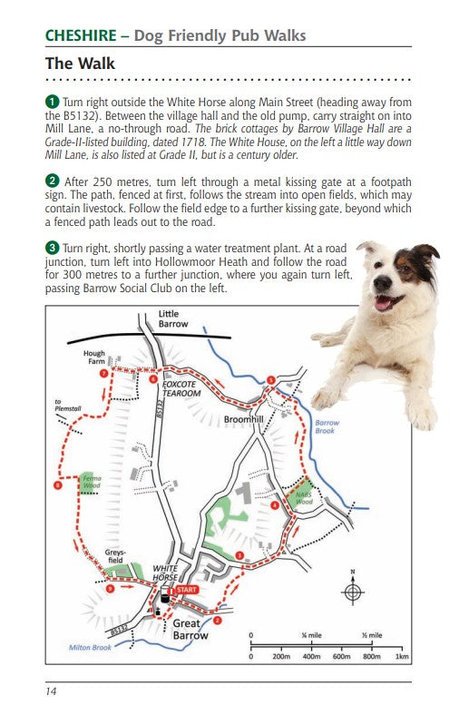 Cheshire Dog Friendly Pub Walks sample walk map