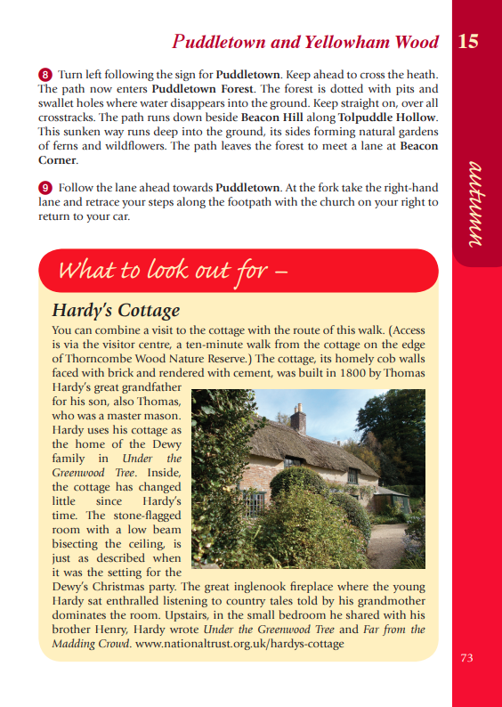 Dorset Year Round Walks Puddletown & Yellowham Wood Hardy's Cottage autumn walk