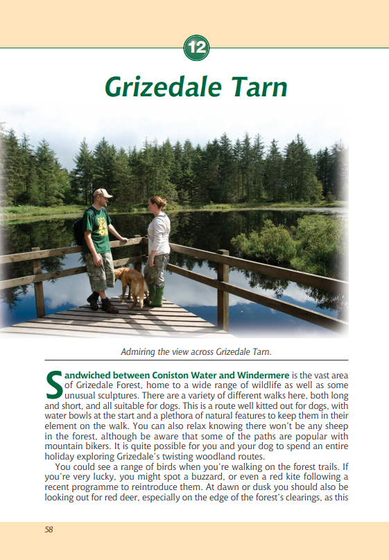 Lake District A Dog Walker's Guide Grizedale Tarn walk