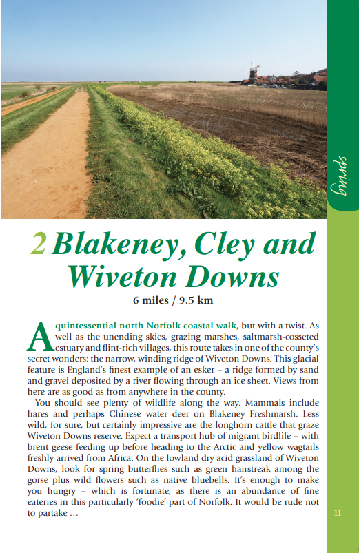 Norfolk Year Round Walks Blackeney, Cley and Wiveton Downs walk