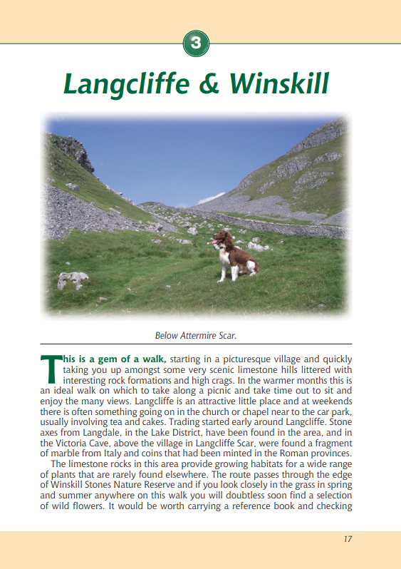 Yorkshire Dales A Dog Walker's Guide Langcliffe & Winskill walk